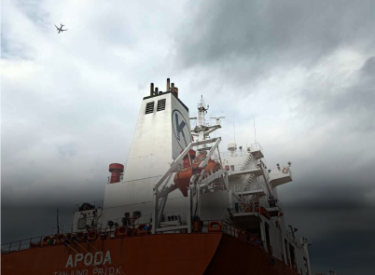 Gas Apoda